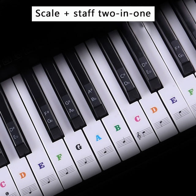 Piano Notes and Keys – How to Label Piano Keys