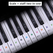 Load image into Gallery viewer, Piano Sticker Transparent Piano Keyboard Sticker 54/61/88 Key Electronic Keyboard 88 Key Piano Stave Note Sticker For Piano Keys